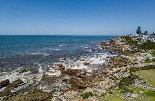 Eastcliff Apartment | Whale Haven Villa Oceanfront Bliss With Pool Whale Watching