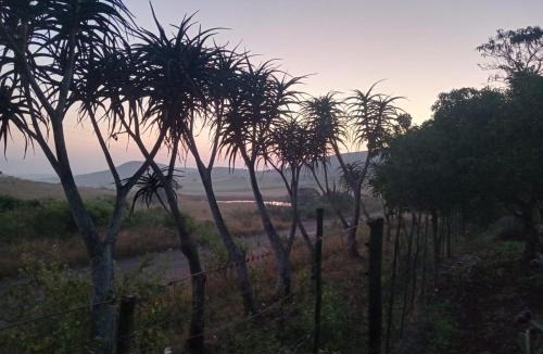 KwaNompondo Other | Ethlathini Rest Camp