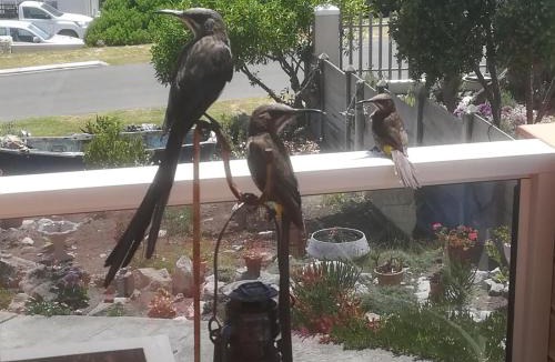 Struisbaai Apartment | The Goose Nest