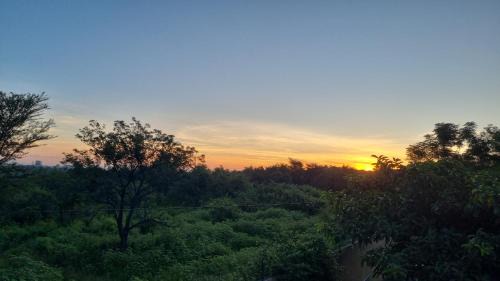 Phalaborwa Cabin | Kimba Lodge and Tours