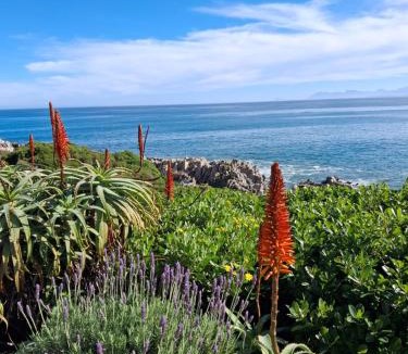 De Kelders Apartment | DK Dream Self Catering 2 Bedroom Apartment