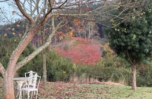 Zenzani House | Lavender Trout Guest Farm