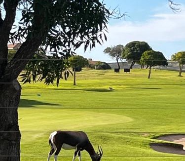 Langebaan Bed & Breakfast | Sugarbird Guesthouse Langebaan