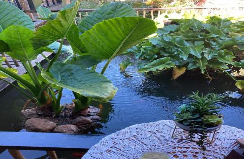 Potchefstroom House | The Ranch Guesthouse