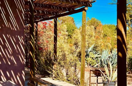 Prince Albert House | AGAVE HOUSE