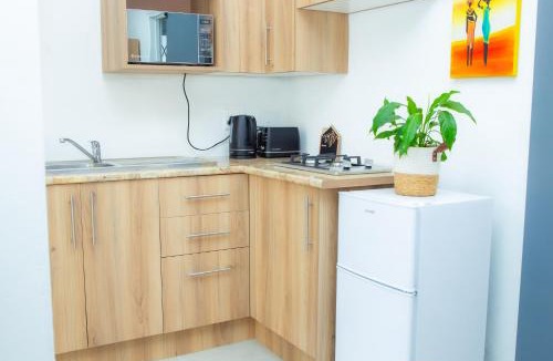 Pixley ka Seme Apartment | Modern 1 Bedroom cottage Perfect For Short or Long Stay in Sandton, Johannesburg