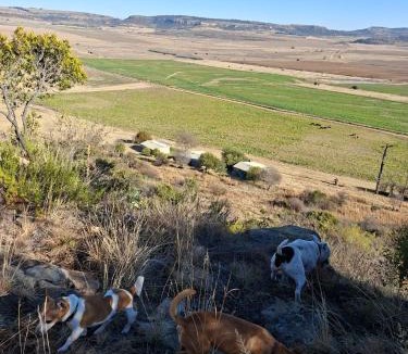 Ficksburg House | Springwater Cottages