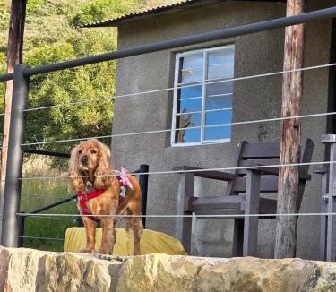 Ficksburg House | Springwater Cottages