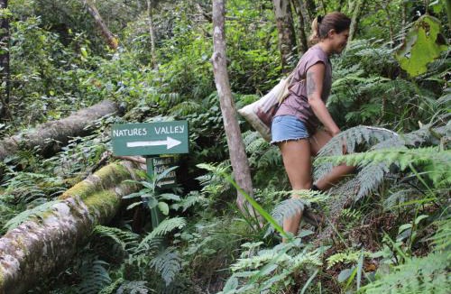 Die Barakke Cabin | Wild Spirit Backpackers Lodge