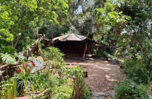 Die Barakke Cabin | Wild Spirit Backpackers Lodge