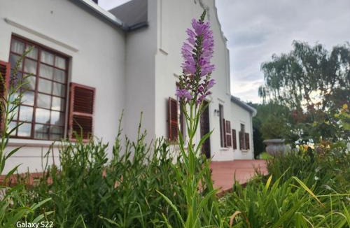 Lady Grey House | De Kleine Kaap Guesthouse