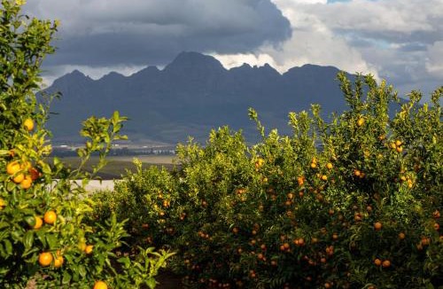 Stellenbosch Villa | Fransmanskraal Accommodation - Luxury Stellenbosch Farm Villa