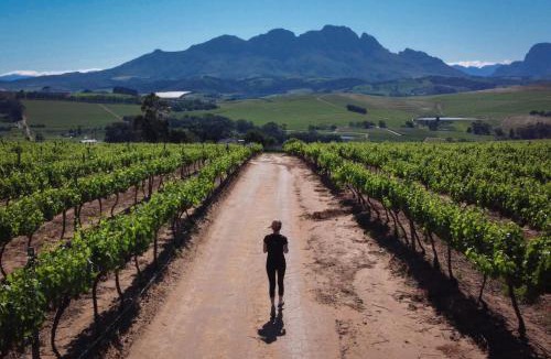 Stellenbosch House | Stellenbosch Farm Cottage with Mountain Views