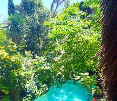 Randpark Ridge Apartment | Pantera Lodge
