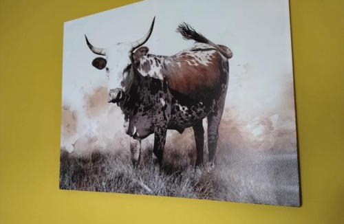 Calitzdorp Apartment | The Anvil Rest Cottage