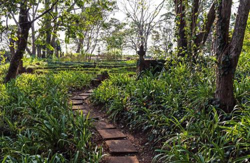 Tzaneen Hotel | Kings Walden Garden Manor