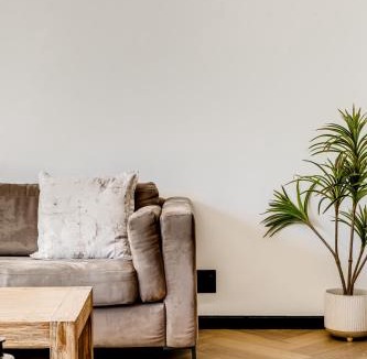 Century City Apartment | Palm Haven