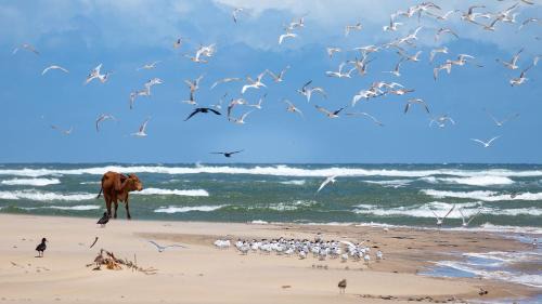 Kei Mouth House | Kei Mouth Guest Lodge Collection