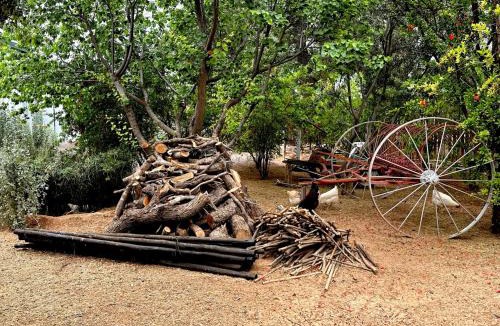 Loxton House | Rus n Bietjie Guest House