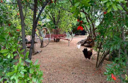 Loxton House | Rus n Bietjie Guest House
