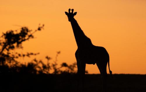 Colchester House | Bay Safaris