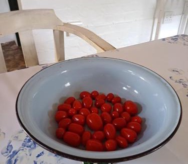 Bredasdorp Apartment | The Coach House Bredasdorp