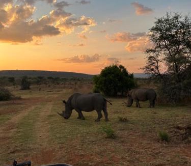 Vaalwater Hotel | Ilanga Lodge Welgevonden Game Reserve