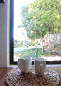 Joe Morolong Cabin | Thota Lodge Weaver Bird Rooms