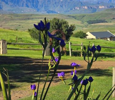 Langkloof House | Berghouse and Cottages