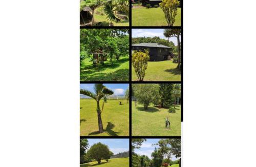 Leisure Bay House | Jungle Cabin Leisure Bay