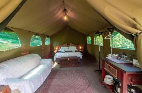 Hoekwil Other | Wilderness Forest Glamping