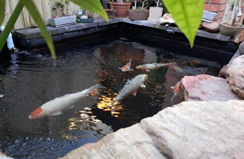Kraaifontein House | Villa Mariss Guesthouse