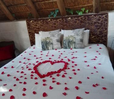 Randpark Ridge Apartment | Pantera Lodge