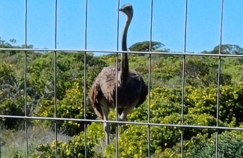 Yzerfontein Apartment | TimeOut 1