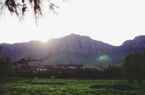 Tulbagh House | Vindoux Tree House Guest Farm & Spa
