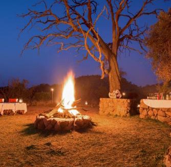 Pilanesberg National Park Cabin | Tshukudu Bush Lodge