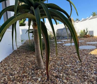 Shelley Point House | Shelley Shores in Secure Estate