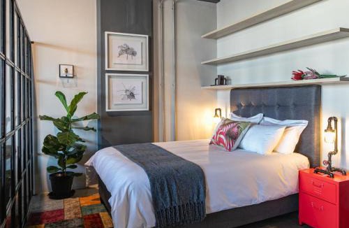 Salt River Apartment | 105 Queens Park