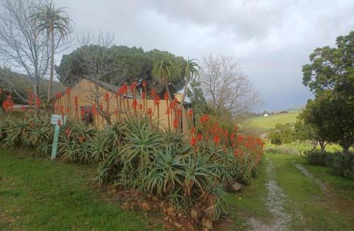 Bot River House | Swaynekloof Farm