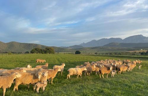 De Rust House | Doornkraal Farm