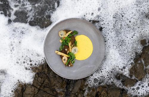 Hermanus City-Centre Hotel | The Marine Hermanus