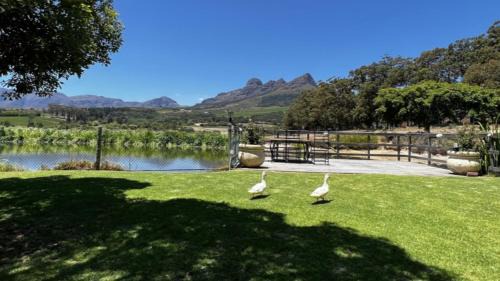 Raithby House | In the Vine Boutique Country Manor