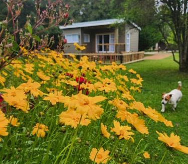 Storms River House | Tsitsikamma Garden Chalets