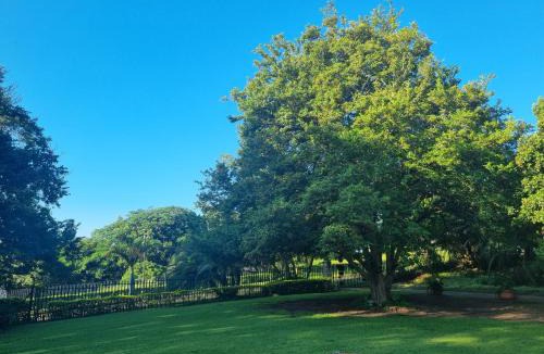 Richards Bay House | Rise and Shine Felixton