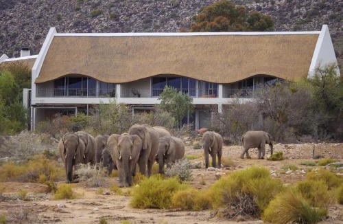 Barrydale Cabin | Sanbona Wildlife Reserve