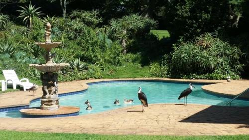 Kloof Bed & Breakfast | 18 Pioneer BnB