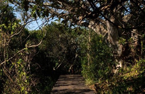 Chintsa Cabin | Prana Lodge