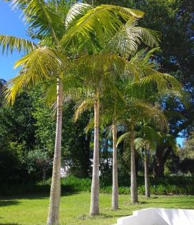 Harkerville Bed & Breakfast | Edenbrook Country Manor