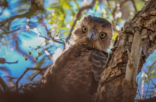 Tankwa Karoo House | Oupoort Eco & Guest Farm - Sutherland - Middelpos