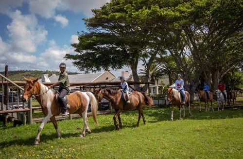 Oyster Bay House | Oyster Bay Lodge